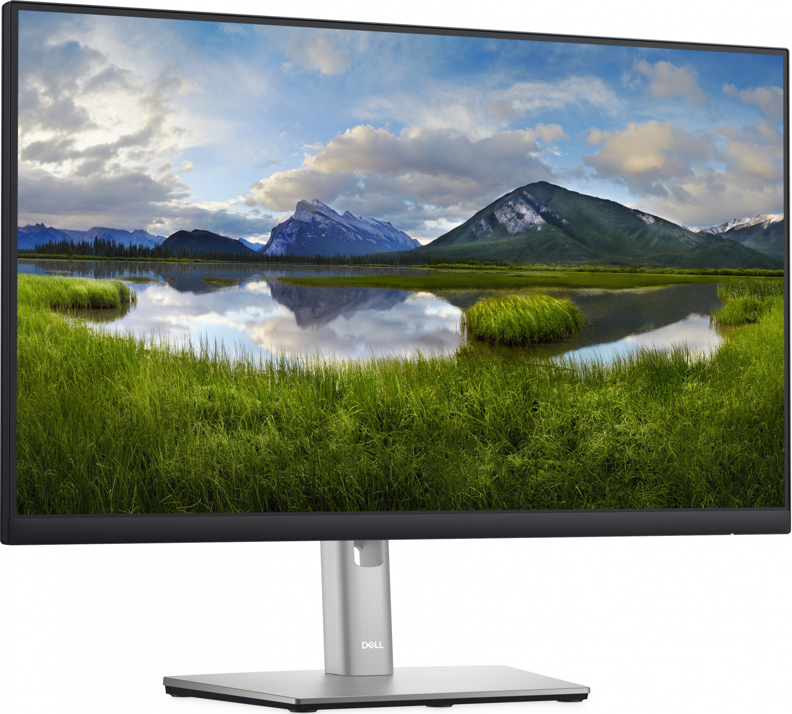 LCD 24" IPS LED DELL P2422H - Trieda B - Repas