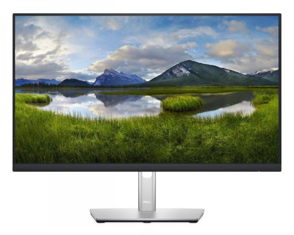 DELL P2422H - Trieda A 2