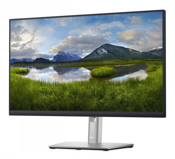 DELL P2422H - Trieda B 1