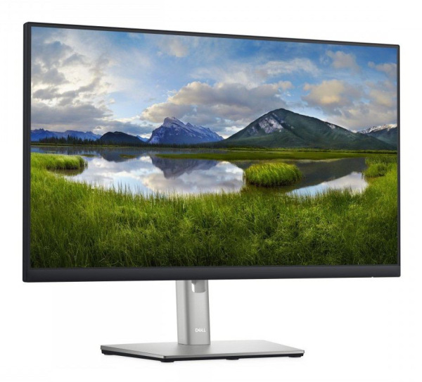 DELL P2422H - Trieda B