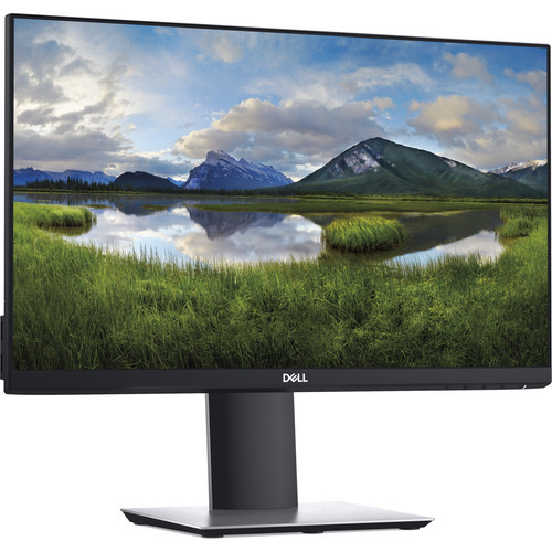 LCD 22" TFT DELL P2219H; - Repas